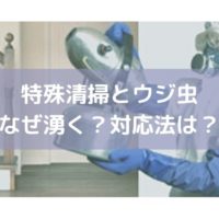 特殊清掃現場にウジ虫がわく理由は どう対応する 特殊清掃業者が孤独死 ゴミ屋敷の現場から学んだこと クヨカサービス